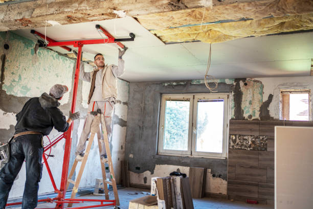 Best Insulation Maintenance and Repair in Millport, AL